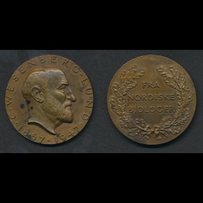 1947, C. Wesenberg-Lund, bronze, HS 33, 50 mm, 56 g, 01