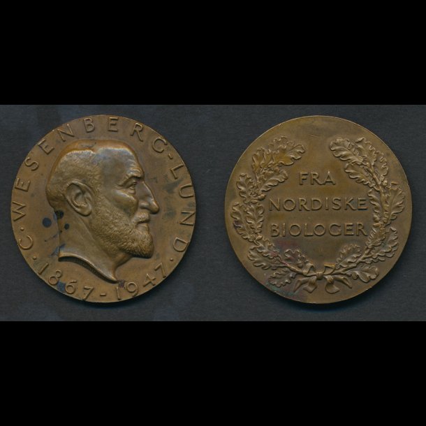 1947, C. Wesenberg-Lund, bronze, HS 33, 50 mm, 56 g, 01