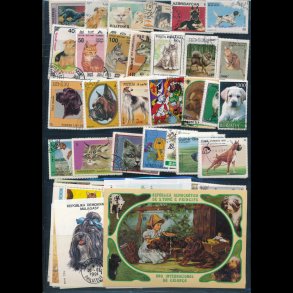 Motiv samling, hunde og katte