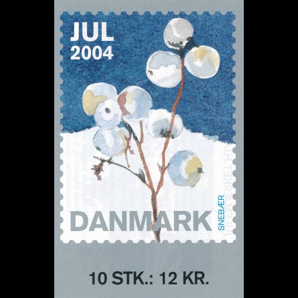 2004, Vinterbr, 10 mrker,
