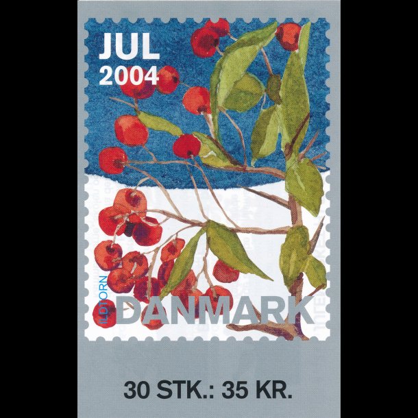 2004, Vinterbr, 30 mrker,