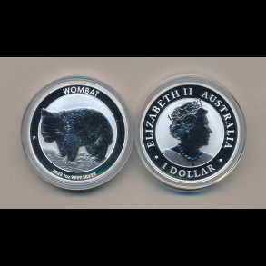 2022, Australien, 1 dollar, Wombat, 1 oz s�lvm�nt,