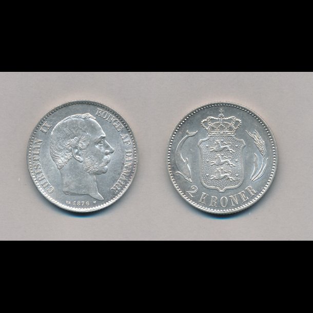 1876, Christian IX, 2 krone, 0/01