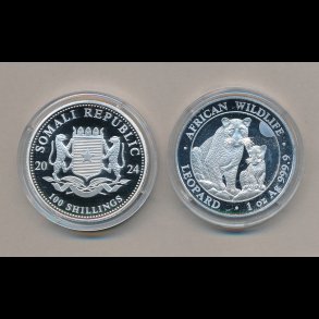 2024, Somali Republic, Leopard, 100 shilling, 1 oz s�lvm�nt, i kapsel,