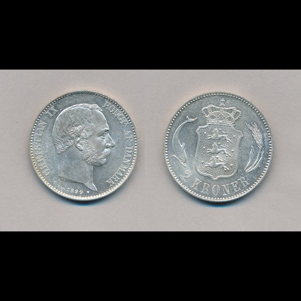 1899, 2 kroner, slvmnt, 0,