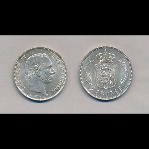 1876, 2 kroner, slvmnt, 0,