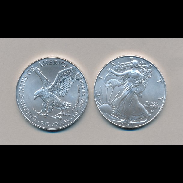 2024, USA, Silver Eagle, 1 dollar, 1 oz slvmnt,