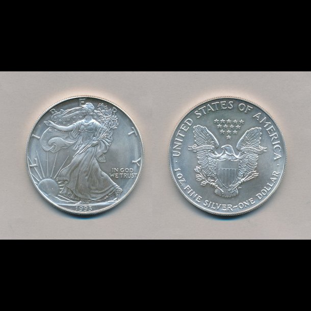 1993, USA, Silver eagle, 1 dollar, 1 oz, slvmnt,