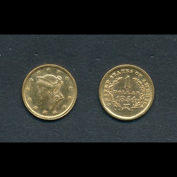 1854, USA, Liberty, 1 dollar, 01 / 1+, 1,5 gram,